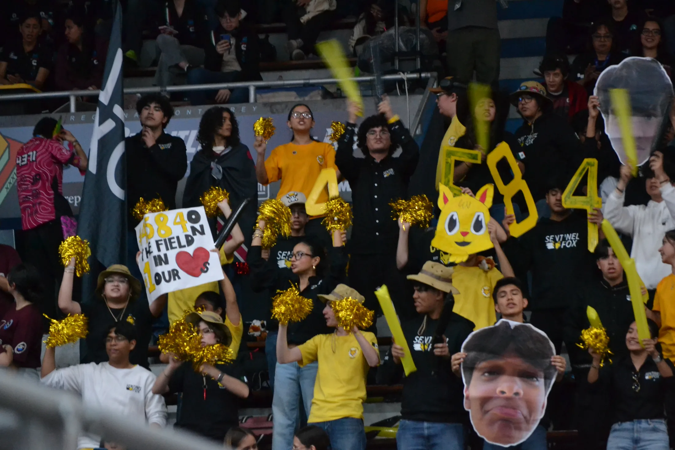 Sentinel Fox group in stands